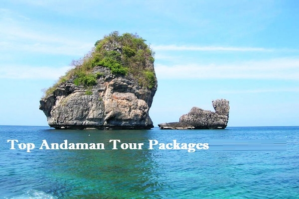  Service Provider of Andaman Tour Package new delhi delhi 
