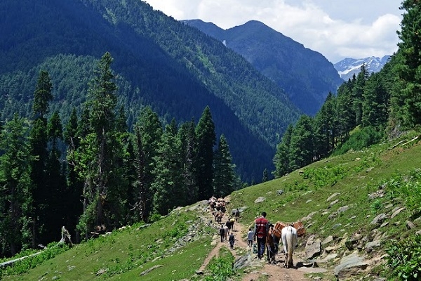  Service Provider of Kashmir Tour Packages new delhi delhi 