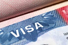  Service Provider of Visa Assistance new delhi delhi 